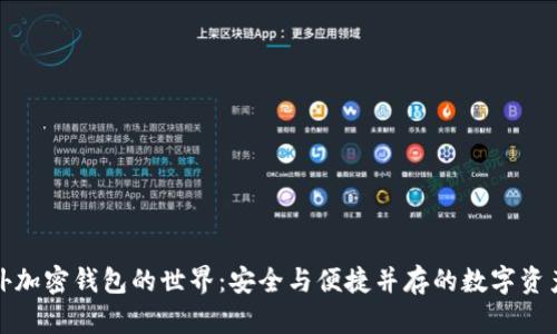 探索国外加密钱包的世界：安全与便捷并存的数字资产守护者