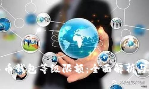 数字人民币钱包等级限额：全面解析与实用指南