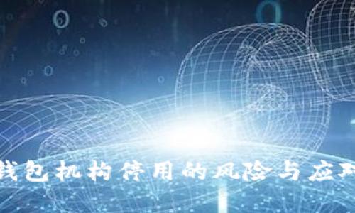 数字钱包机构停用的风险与应对策略