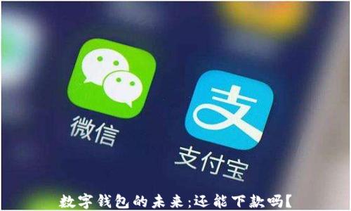 
数字钱包的未来：还能下款吗？