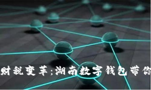 湘江水畔的现代财税变革：湖南数字钱包带你进入无现金时代
