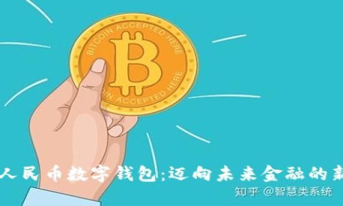 重塑人民币数字钱包：迈向未来金融的新篇章