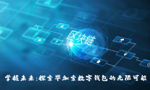 掌握未来：探索毕加索数字钱包的无限可能