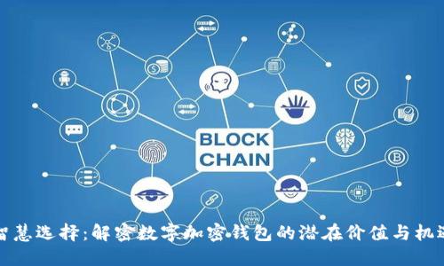 智慧选择：解密数字加密钱包的潜在价值与机遇