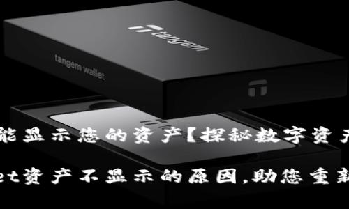 为何TPWallet未能显示您的资产？探秘数字资产管理的常见困扰

深入解读TPWallet资产不显示的原因，助您重新掌控数字财富