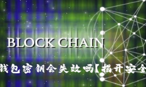 加密钱包密钥会失效吗？揭开安全之谜