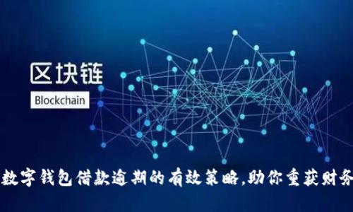 应对数字钱包借款逾期的有效策略，助你重获财务自由