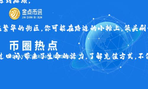 一、了解微信数字钱包
在这个信息化日益发展的时代，数字化支付已经成为我们日常生活中不可或缺的一部分。微信数字钱包，作为人们日常消费的强大工具，不仅方便快捷，还能帮助我们轻松管理个人财务。通过它，我们就能在晨雾中的老桥上，悠然自得地享受生活，随时随地完成支付，无需携带现金。

二、准备工作：确保微信账户正常使用
在为你的数字钱包充值之前，首先要确保你的微信账户正常使用。若你是新用户，需先完成微信账户注册，并绑定有效的银行卡。选一张常用的银行储蓄卡，将其关联到你的微信账户中，这样你就可以快速进行充值了。

三、充值途径：多种方式任君选择
在微信中，充值数字钱包的方法有很多。这里为你盘点几种常见的方式，让你在繁忙生活中也能从容应对。

h41. 银行卡充值/h4
直接通过关联的银行卡进行充值是最为常见的方式。在微信首页，点击右下角的「我」，进入「钱包」页面，选择「零钱」，再点击「充值」。输入你想要充值的金额后，点击「确认支付」，按照系统提示输入支付密码，完成后即可将资金充入数字钱包。

h42. 第三方支付平台/h4
此外，你也可以通过第三方支付平台进行充值。比如通过支付宝或其他支付软件，将资金转到你的微信账户。在这些平台上，通常会有快速转账的功能，只需几步点击便可完成，省时又省力。

h43. 线下扫码充值/h4
在一些商家、便利店，你也可以找到支持微信充值的服务。通过线下扫码充钱，既方便又高效，只需打开微信扫一扫，对准商家的二维码，输入要充值的金额并确认支付，资金便会即时到账。

四、充值注意事项
虽然充值的方式多种多样，但在操作过程中也要保持警惕，注意以下几项：

h41. 确保网络安全/h4
在进行充值时，确保你所使用的网络安全。避免在公共场所的Wi-Fi下进行支付，以免信息泄露，造成不必要的损失。

h42. 勿轻信陌生链接/h4
收到任何关于充值的短信或链接时，务必保持警惕，切勿轻易点击。谨防诈骗，保护自己的资金安全。

h43. 充值金额限制/h4
根据微信的规定，每日充值金额是有限制的。具体金额可能因地区和账户类型而异，请提前了解相关规定，以免充值时遇到麻烦。

五、充值后的使用
余额成功充入微信数字钱包后，你可以在日常生活中灵活使用。无论是与朋友AA制，还是在商店购物，都能轻松支付。在繁华的街区，你可能在路边的小摊上，低头刷卡，转瞬即逝的繁忙生活不再因为找零而捉襟见肘。数字钱包的来临，极大方便了我们的支付方式。

六、总结：拥抱数字经济的未来
通过孩子们的欢声笑语、青年人的激情，以及老人的惬意午后，你会发现微信数字钱包的润物细无声，就如同小溪流淌过田间，带来了生命的活力。了解充值方式，不仅是掌握一项技能，更是融入现代生活的一部分。在这个数字化的时代，拥抱数字经济，体验便捷的生活，你准备好了吗？

如何轻松充值你的微信数字钱包，让支付无忧