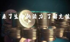 一、了解微信数字钱包在这个信息化日益发展的