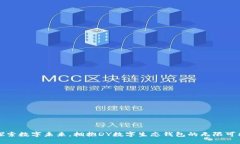 探索数字未来，拥抱DY数字生态钱包的无限可能