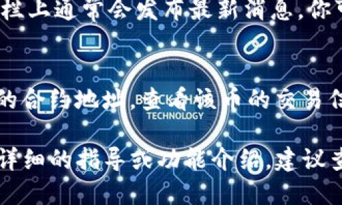 要查看TPWallet中的新币信息，你可以通过以下几个步骤进行：

1. **访问TPWallet官方网站或应用程序**：
   - 打开你的浏览器，输入TPWallet的官方网站地址，或者在你的手机应用商店中搜索并下载TPWallet应用。

2. **创建或登录账户**：
   - 如果你是第一次使用TPWallet，你需要注册一个新账户；如果已经有账户，则直接登录即可。

3. **浏览资产列表**：
   - 登录成功后，进入你的钱包界面。你可以在主界面上找到“资产”或“钱包”选项。在此页面上，你会看到你当前持有的各类数字货币。

4. **查看新币的添加信息**：
   - 在资产页面，通常会有一个“添加代币”或“搜索代币”的选项，点击进入后可以输入新币的名称或合约地址进行搜索。

5. **访问社区和公告**：
   - 对于新币的上线信息，TPWallet的官方社交媒体、社区论坛以及公告栏上通常会发布最新消息。你可以关注他们的官方Twitter、Telegram群组等社交平台，获取及时的更新。

6. **使用区块链浏览器**：
   - 你还可以利用区块链浏览器（如Etherscan或BscScan等）输入新币的合约地址，查看该币的交易信息和相关数据，增加对新币的了解。

以上几步骤可以帮助你在TPWallet中查看和获取新币的信息。如果你需要详细的指导或功能介绍，建议查看TPWallet的官方文档或用户手册。