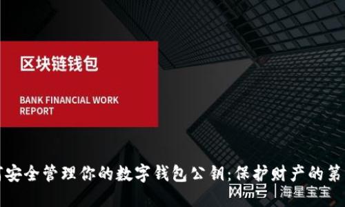 如何安全管理你的数字钱包公钥：保护财产的第一步