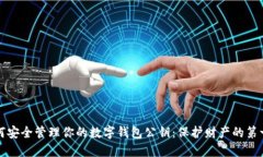 如何安全管理你的数字钱包公钥：保护财产的第