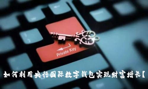 如何利用央行国际数字钱包实现财富增长？