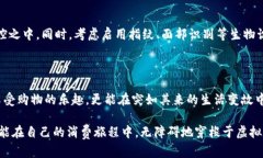 数字钱包的限额调整：你的资金安全掌控之道数