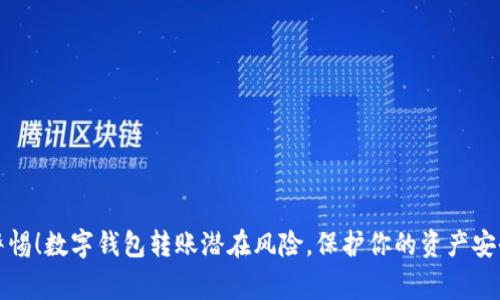 警惕！数字钱包转账潜在风险，保护你的资产安全
