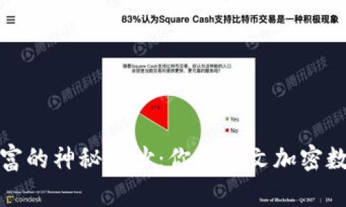 揭开数字财富的神秘面纱：你的中文加密数字钱包之旅