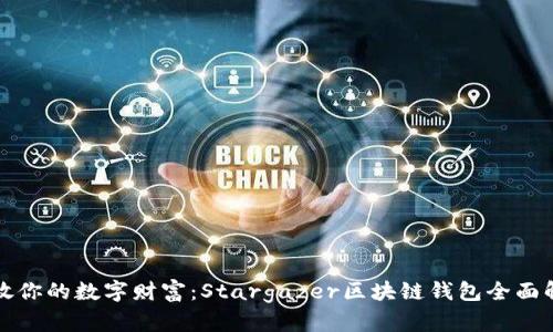 释放你的数字财富：Stargazer区块链钱包全面解析
