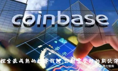 探索最成熟的数字钱包：你财富管理的新伙伴