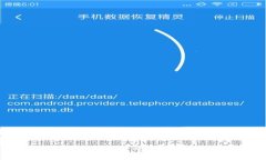 轻松重置数字钱包密码，守护您的财富安全