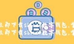 安全与便捷同行：立即下载sblock数字钱包，掌握