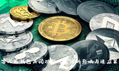 数字人民钱包关闭功能对生活的影响与适应策略
