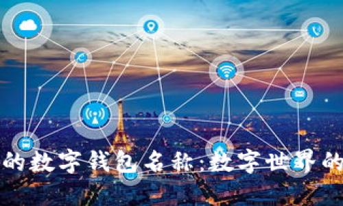 不可更改的数字钱包名称：数字世界的身份象征