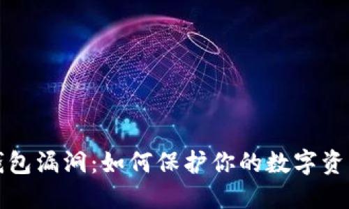 识别钱包漏洞：如何保护你的数字资产安全