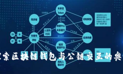 探索区块链钱包与公链交互的奥秘