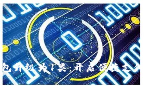 数字钱包升级为1类：开启便捷支付新篇章