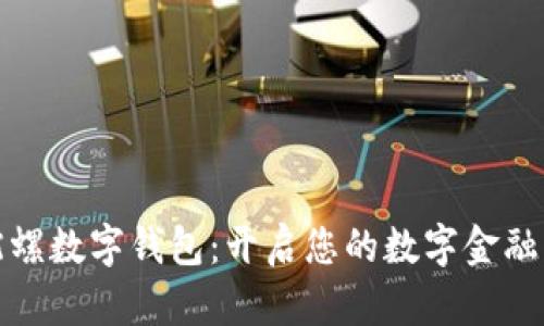 探索陀螺数字钱包：开启您的数字金融新视界