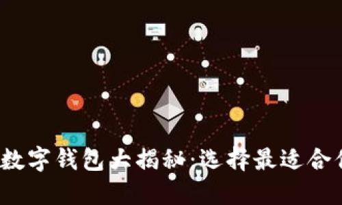 2023年主流数字钱包大揭秘：选择最适合你的电子钱包
