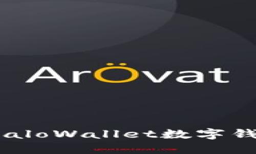 拥抱未来：如何利用HaloWallet数字钱包提升你的财务自由