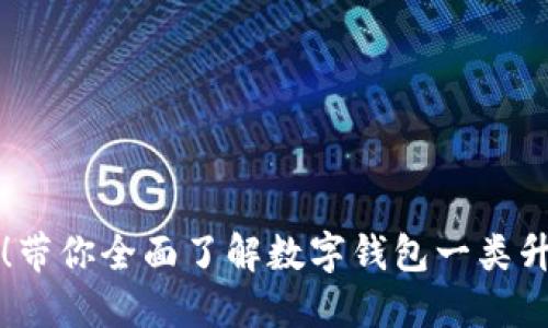 轻松升级！带你全面了解数字钱包一类升级的方法