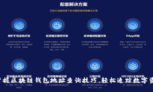  掌握区块链钱包地址查询技巧，轻松追踪数字资产