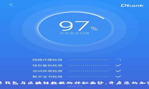 揭开比特币钱包与区块链数据的神秘面纱，开启您的加密资产之旅