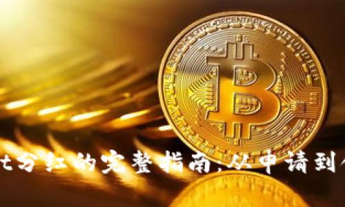 获取TPWallet分红的完整指南：从申请到领取的每一步