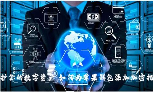 保护你的数字资产：如何为苹果钱包添加加密措施