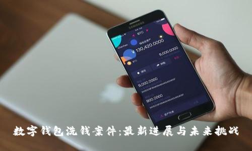 数字钱包洗钱案件：最新进展与未来挑战