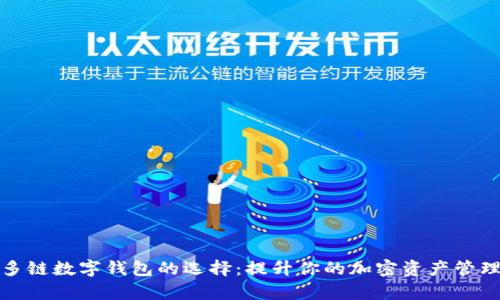 探索多链数字钱包的选择：提升你的加密资产管理效率