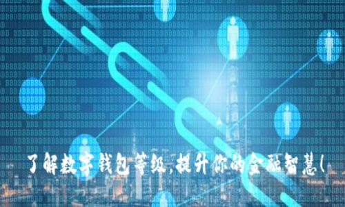 了解数字钱包等级，提升你的金融智慧！
