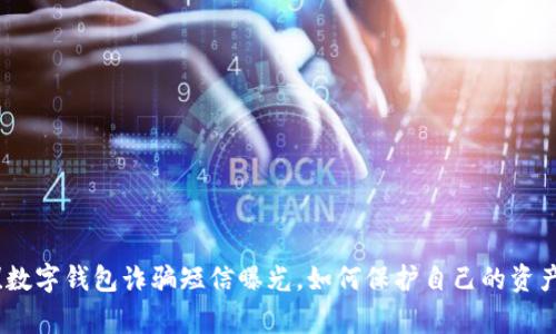 警惕！数字钱包诈骗短信曝光，如何保护自己的资产安全