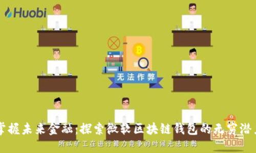 掌握未来金融：探索微软区块链钱包的无穷潜力