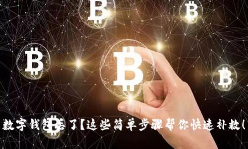 数字钱包丢了？这些简单步骤帮你快速补救！