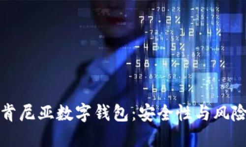 揭秘肯尼亚数字钱包：安全性与风险评估