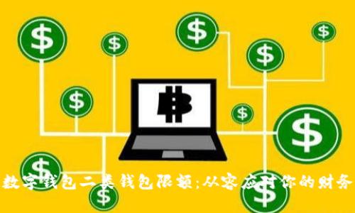 破解数字钱包二类钱包限额：从容应对你的财务挑战