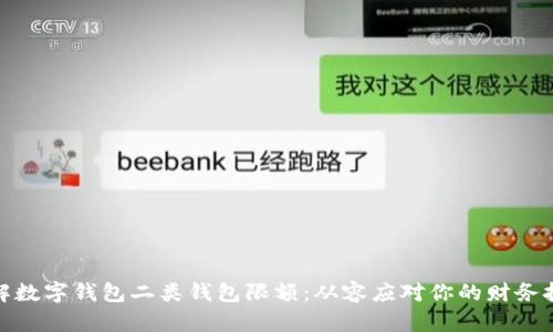 破解数字钱包二类钱包限额：从容应对你的财务挑战