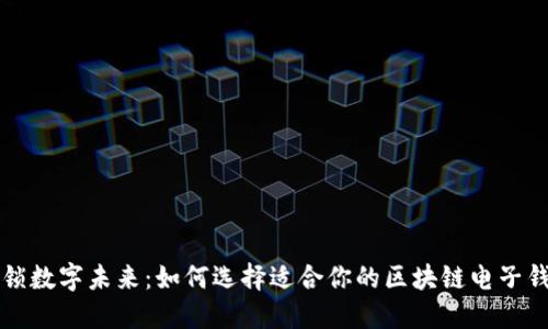 解锁数字未来：如何选择适合你的区块链电子钱包