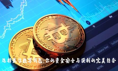 选择最佳数字钱包：你的资金安全与便利的完美结合