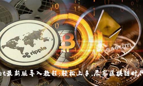 tpwallet最新版导入教程：轻松上手，尽享区块链时代的便利